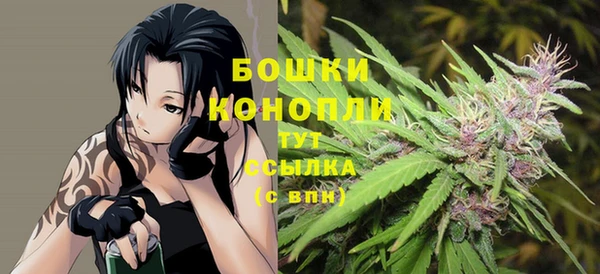 ешки Арсеньев