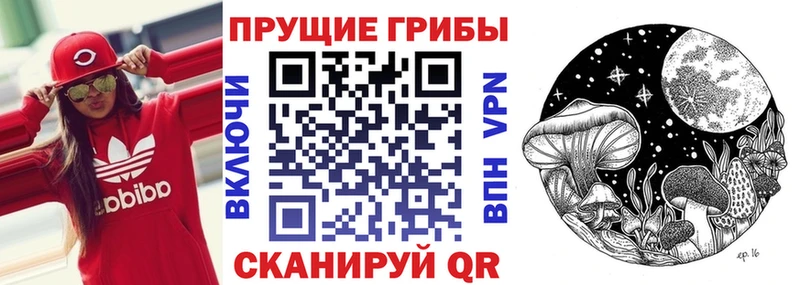 Псилоцибиновые грибы MAGIC MUSHROOMS Покровск